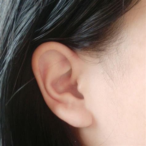 耳垂太厚耳洞穿不過去 形容康乃馨